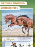 Календарь Лошади мира 2026 год, производитель АСТ , ISBN 978-5-17173-957-7, № 3