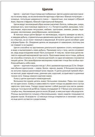 Мир в картинках. Птицы перелетные. ФГОС. ФОП, производитель МОЗАИКА-СИНТЕЗ , ISBN 978-5-43151-507-1№ 3