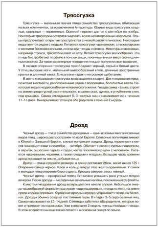 Мир в картинках. Птицы перелетные. ФГОС. ФОП, производитель МОЗАИКА-СИНТЕЗ , ISBN 978-5-43151-507-1№ 5