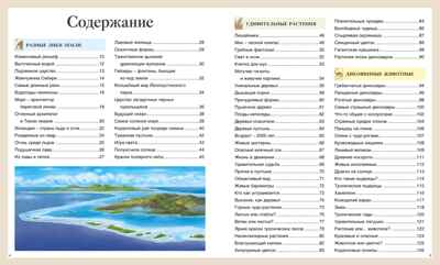 Детская энциклопедия про всё на свете, производитель Махаон , ISBN 978-5-38925-364-3№ 2