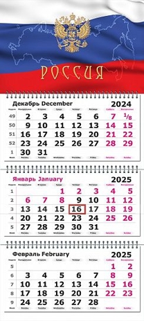 Календарь настенный квартальный 2025 г. Государтсвенная символика, арт. 13с14-162, производитель Полином, ISBN 460-3-72141-687-5№ 1