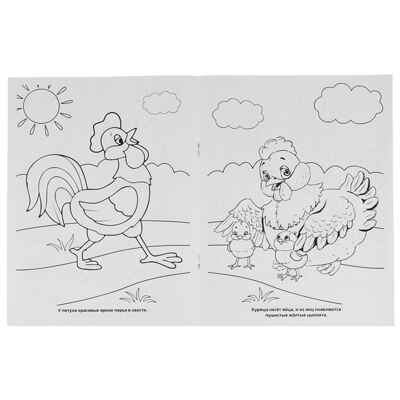 Союзмультфильм. Домашние животные в Простоквашино. Раскраска., производитель Умка, ISBN 978-5-50600-682-4№ 2