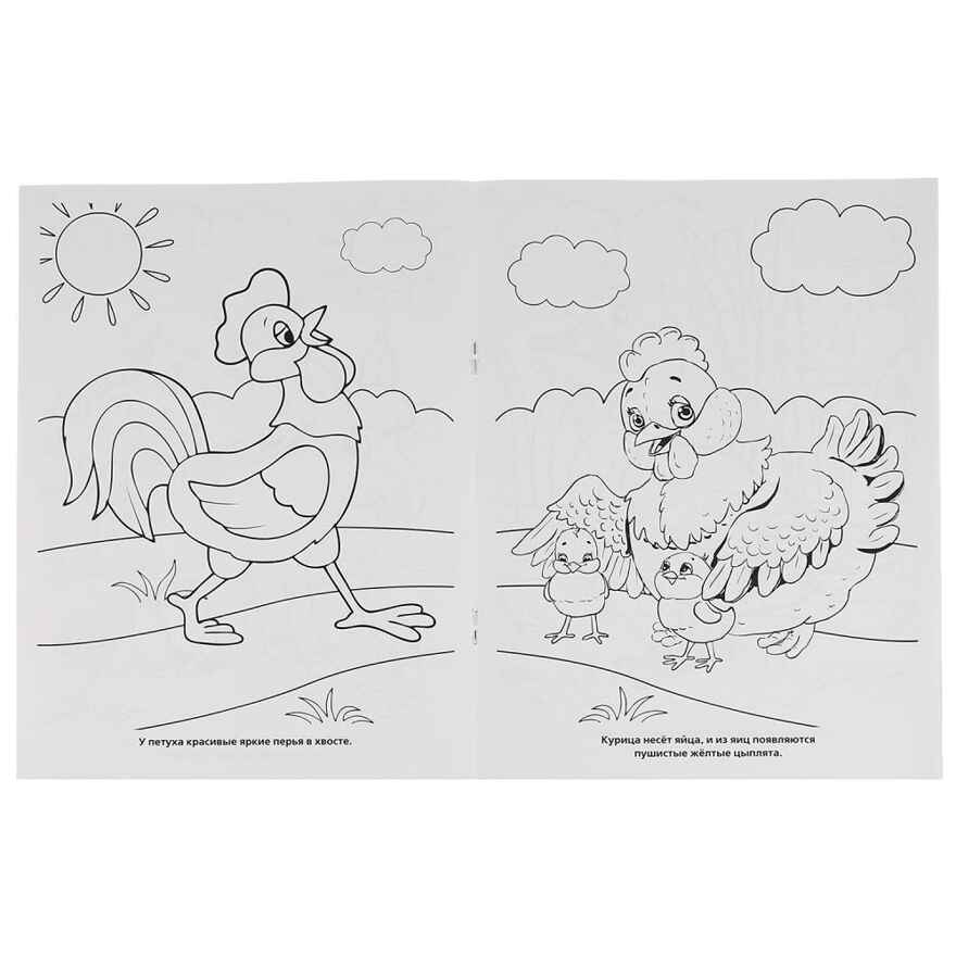 Союзмультфильм. Домашние животные в Простоквашино. Раскраска., производитель Умка, ISBN 978-5-50600-682-4, № 2