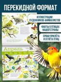 Календарь Птицы России с голосами 2026 год, производитель АСТ , ISBN 978-5-17173-961-4, № 3