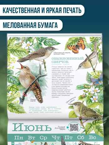 Календарь Птицы России с голосами 2026 год, производитель АСТ , ISBN 978-5-17173-961-4№ 4