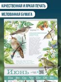 Календарь Птицы России с голосами 2026 год, производитель АСТ , ISBN 978-5-17173-961-4, № 4