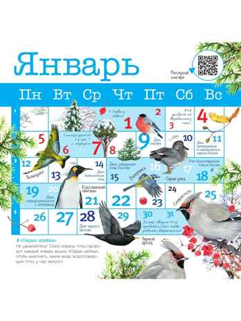 Календарь Птицы России с голосами 2026 год, производитель АСТ , ISBN 978-5-17173-961-4№ 6