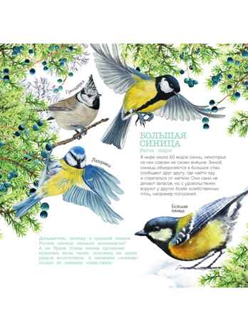 Календарь Птицы России с голосами 2026 год, производитель АСТ , ISBN 978-5-17173-961-4№ 7