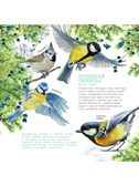 Календарь Птицы России с голосами 2026 год, производитель АСТ , ISBN 978-5-17173-961-4, № 7