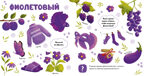 Главная книга малыша. Цвета и предметы, производитель Клевер (Clever) , ISBN 978-5-00211-644-7, № 4