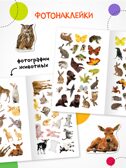 Фотонаклейки. Набор из 4-х книг., производитель МОЗАИКА kids , ISBN 978-5-43154-617-4, № 2