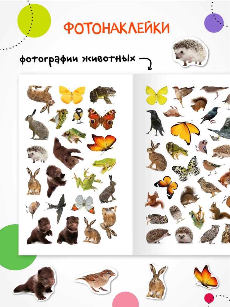 Фотонаклейки. Набор из 4-х книг., производитель МОЗАИКА kids , ISBN 978-5-43154-617-4, № 12