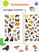 Фотонаклейки. Набор из 4-х книг., производитель МОЗАИКА kids , ISBN 978-5-43154-617-4, № 12