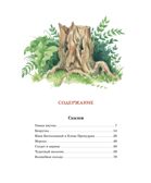 Волшебное кольцо, производитель Махаон , ISBN 978-5-38922-205-2, № 8