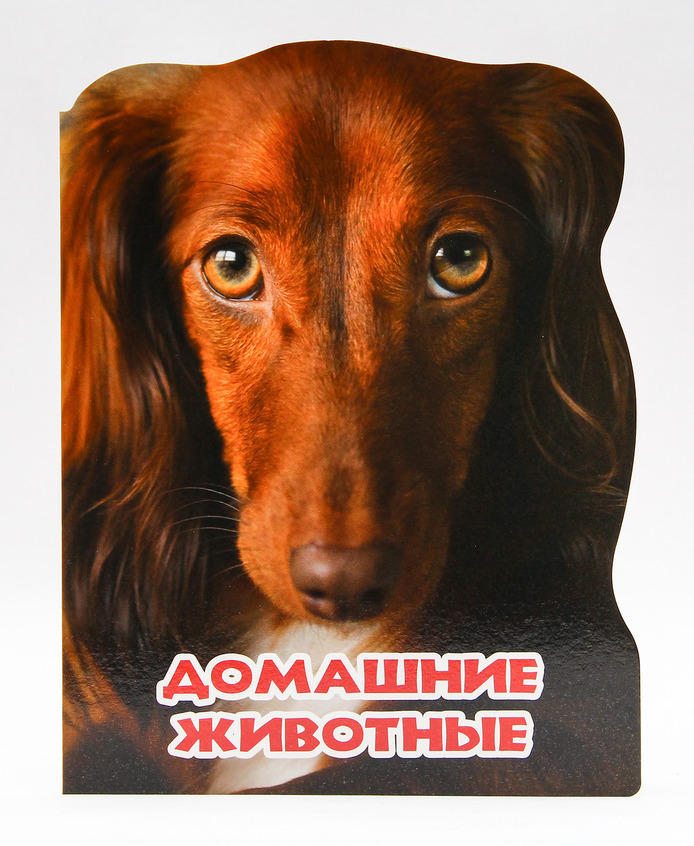 Мир животных. Домашние животные, производитель Проф-Пресс , ISBN 978-5-37825-458-3, № 1