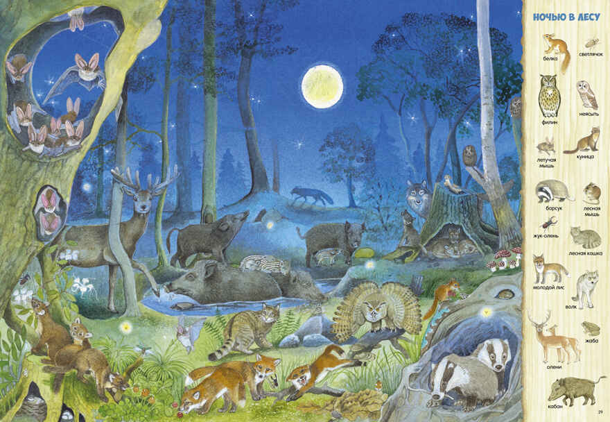 Найди и покажи. 1000 животных, производитель Клевер (Clever) , ISBN 978-5-00252-198-2, № 2