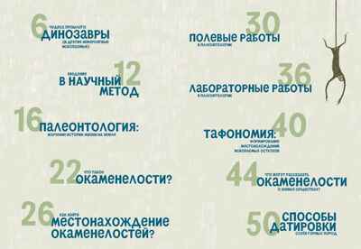 Мы нашли динозавра во дворе, производитель Самокат , ISBN 978-5-00167-742-0 № 2