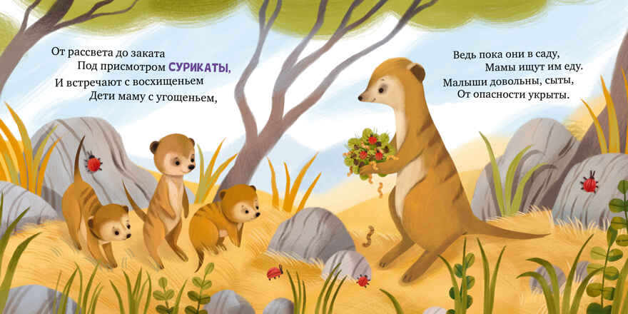 Книжки-картинки. Детский сад для зверят/Весова Ю., производитель Клевер (Clever) , ISBN 978-5-00252-368-9, № 5