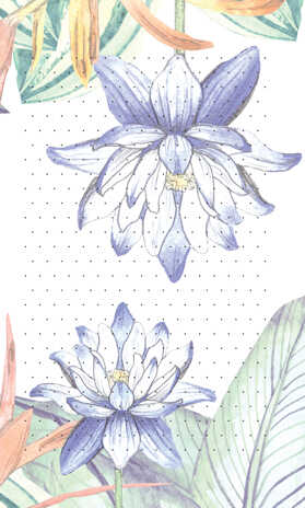Блокнот голограмма Flower Notes (синий), производитель Контэнт, ISBN 978-5-00141-023-2№ 4