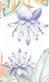 Блокнот голограмма Flower Notes (синий), производитель Контэнт, ISBN 978-5-00141-023-2, № 4