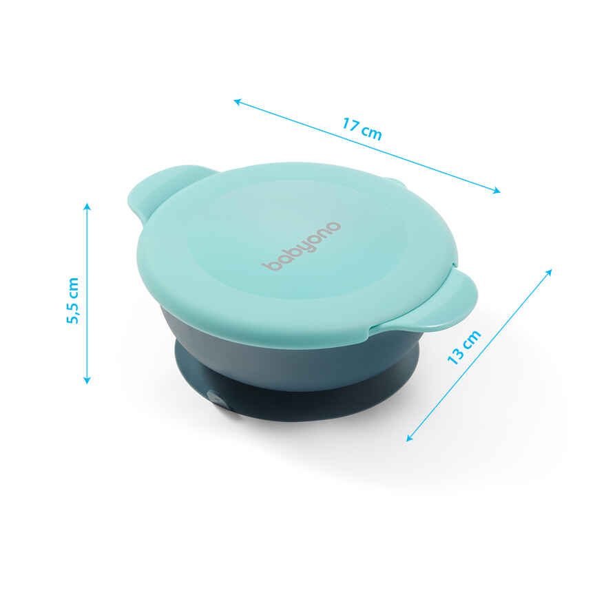 Тарелочка на присоске с дополнительной крышкой для закусок 300 мл, производитель Babyono, ISBN 590-1-43541-294-7, № 5