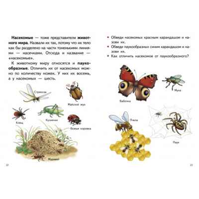 Изучаем окружающий мир 5-6. Рабочая тетрадь., производитель Литур , ISBN 978-5-97801-601-7№ 3