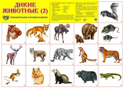Демонстрационный плакат А2. Дикие животные (2), производитель Сфера ТЦ , ISBN 978-5-99490-494-7, № 1
