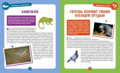 Невероятные животные, производитель Махаон , ISBN 978-5-38927-502-7№ 4