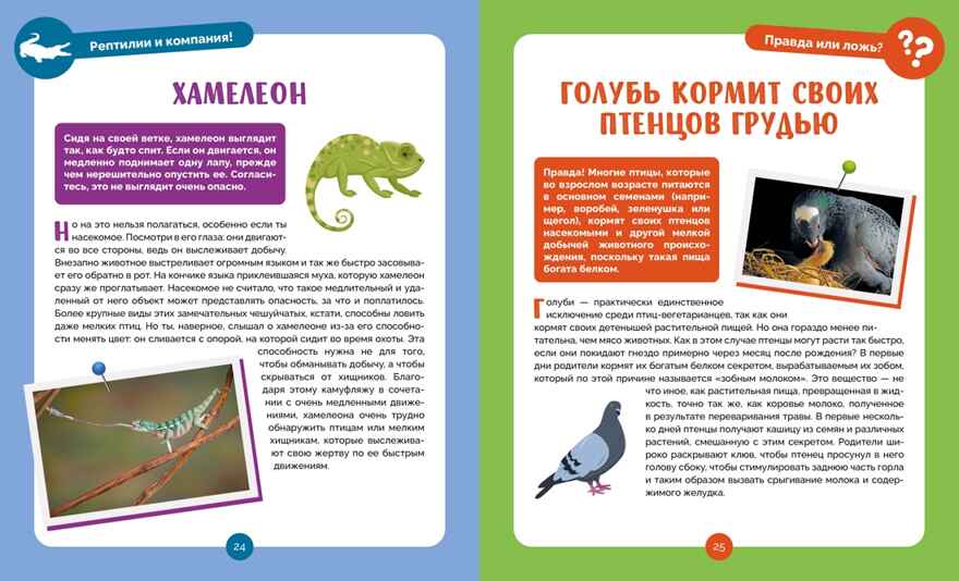 Невероятные животные, производитель Махаон , ISBN 978-5-38927-502-7, № 4