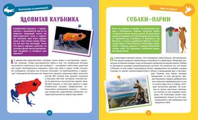 Невероятные животные, производитель Махаон , ISBN 978-5-38927-502-7№ 5