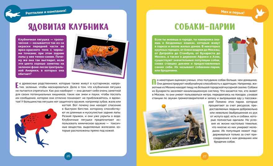 Невероятные животные, производитель Махаон , ISBN 978-5-38927-502-7, № 5