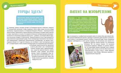 Невероятные животные, производитель Махаон , ISBN 978-5-38927-502-7№ 6