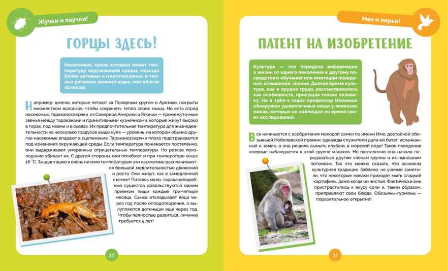 Невероятные животные, производитель Махаон , ISBN 978-5-38927-502-7, № 6