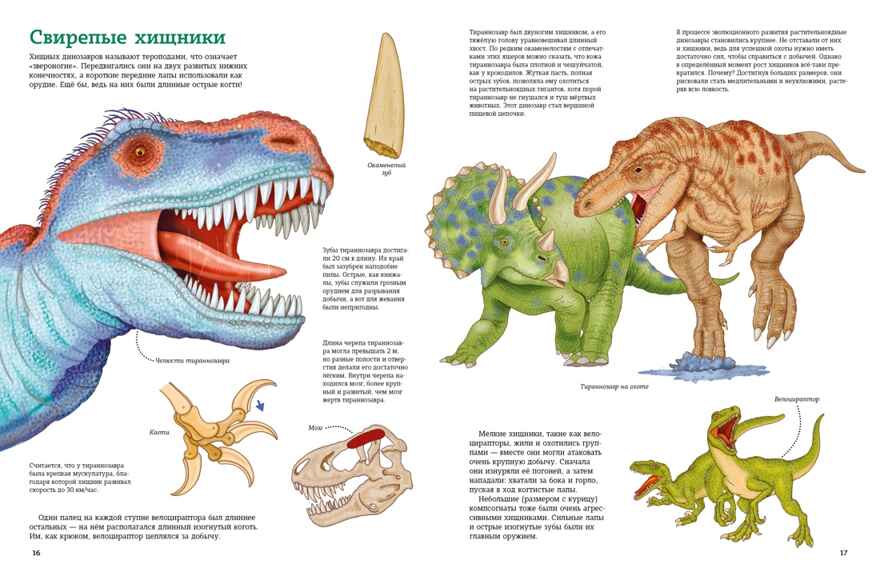 Планета динозавров. Иллюстрированный атлас, производитель Махаон , ISBN 978-5-38923-515-1, № 6