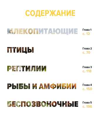 Тайны животных. Большая иллюстрированная энциклопедия, производитель Махаон , ISBN 978-5-38921-319-7№ 2
