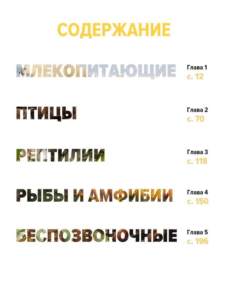Тайны животных. Большая иллюстрированная энциклопедия, производитель Махаон , ISBN 978-5-38921-319-7, № 2