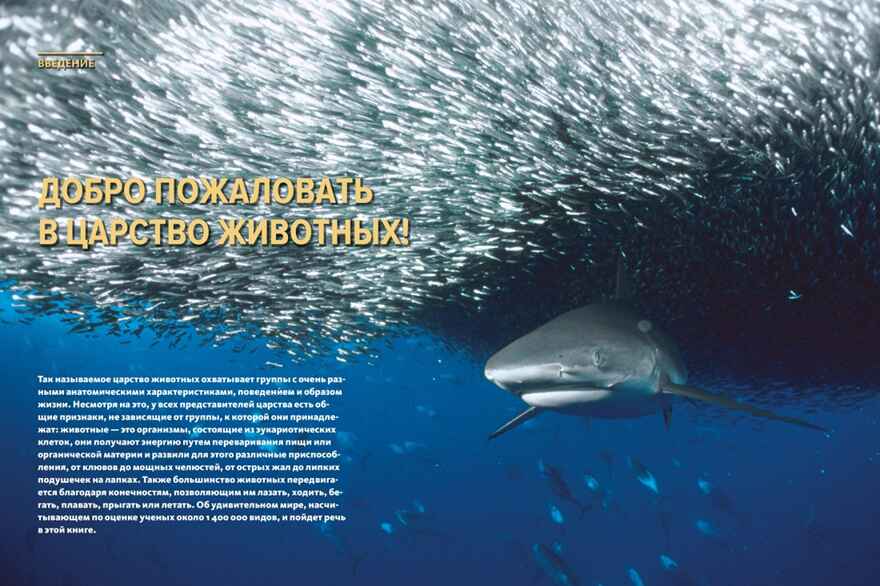 Тайны животных. Большая иллюстрированная энциклопедия, производитель Махаон , ISBN 978-5-38921-319-7, № 3