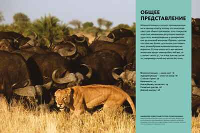Тайны животных. Большая иллюстрированная энциклопедия, производитель Махаон , ISBN 978-5-38921-319-7№ 4