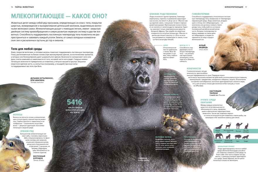 Тайны животных. Большая иллюстрированная энциклопедия, производитель Махаон , ISBN 978-5-38921-319-7, № 5