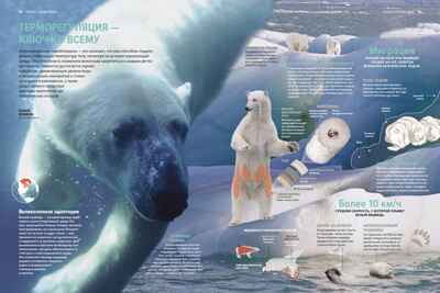 Тайны животных. Большая иллюстрированная энциклопедия, производитель Махаон , ISBN 978-5-38921-319-7№ 6