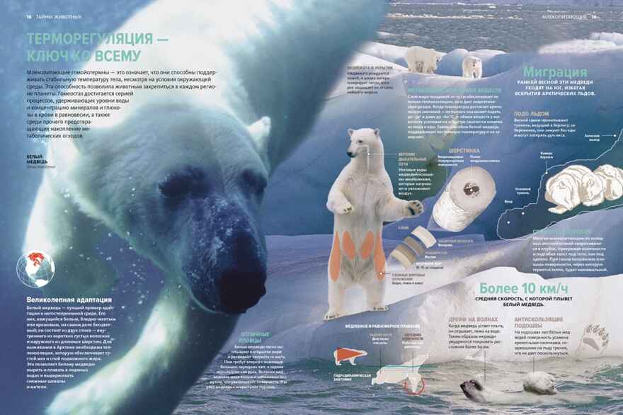 Тайны животных. Большая иллюстрированная энциклопедия, производитель Махаон , ISBN 978-5-38921-319-7, № 6