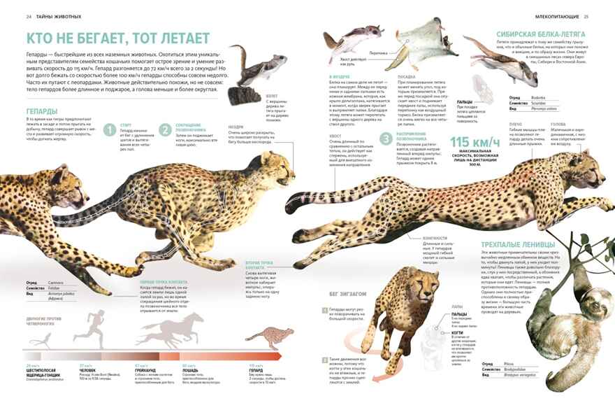 Тайны животных. Большая иллюстрированная энциклопедия, производитель Махаон , ISBN 978-5-38921-319-7, № 7