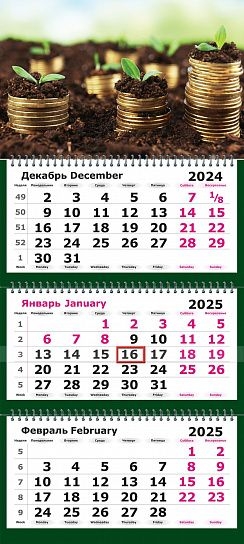Календарь настенный квартальный 2025 г. Денежный, арт. 13с14-265, производитель Полином, ISBN 460-3-72143-164-9, № 1