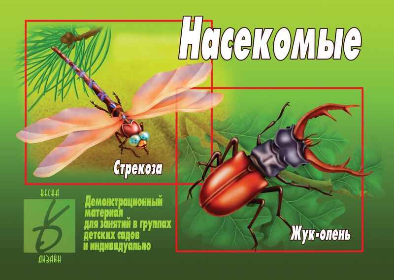 Насекомые, производитель «Весна-Дизайн» (ИП Бурдина С. В.), ISBN 468-0-92014-155-5, № 1