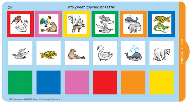 Развивающий тренажёр &quot;Разноцветные окошки&quot; 5-7 лет. Дополнительный набор карточек к базовому комплекту, производитель Спектр, ISBN 467-0-01412-040-5, № 2