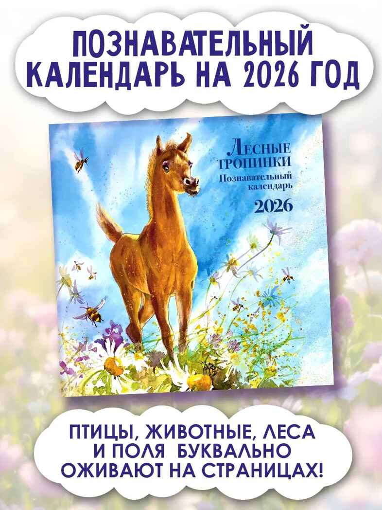 Познавательный календарь. Лесные тропинки. 2026, производитель АСТ , ISBN 978-5-17174-212-6, № 1