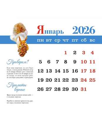 Познавательный календарь. Лесные тропинки. 2026, производитель АСТ , ISBN 978-5-17174-212-6№ 6