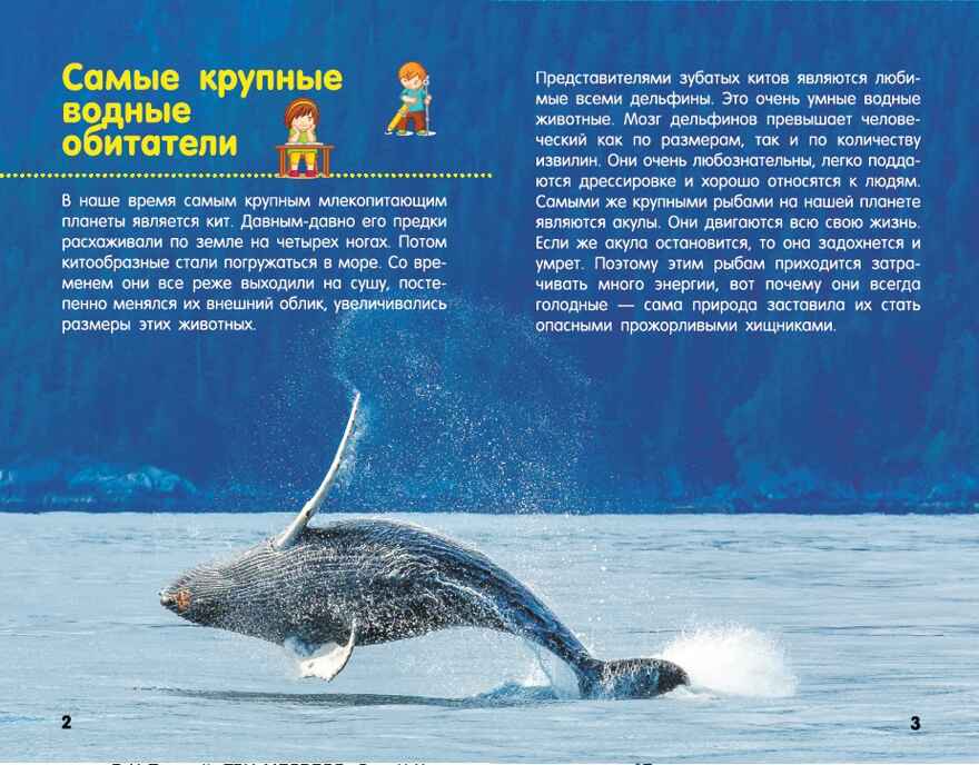 Акулы, киты, дельфины. Детская научно-популярная энциклопедия, производитель АСТ , ISBN 978-5-17104-043-7, № 2