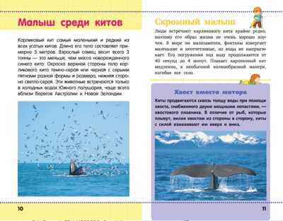 Акулы, киты, дельфины. Детская научно-популярная энциклопедия, производитель АСТ , ISBN 978-5-17104-043-7№ 4