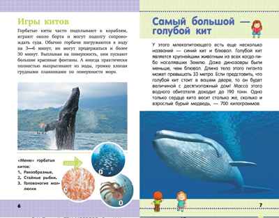 Акулы, киты, дельфины. Детская научно-популярная энциклопедия, производитель АСТ , ISBN 978-5-17104-043-7№ 5